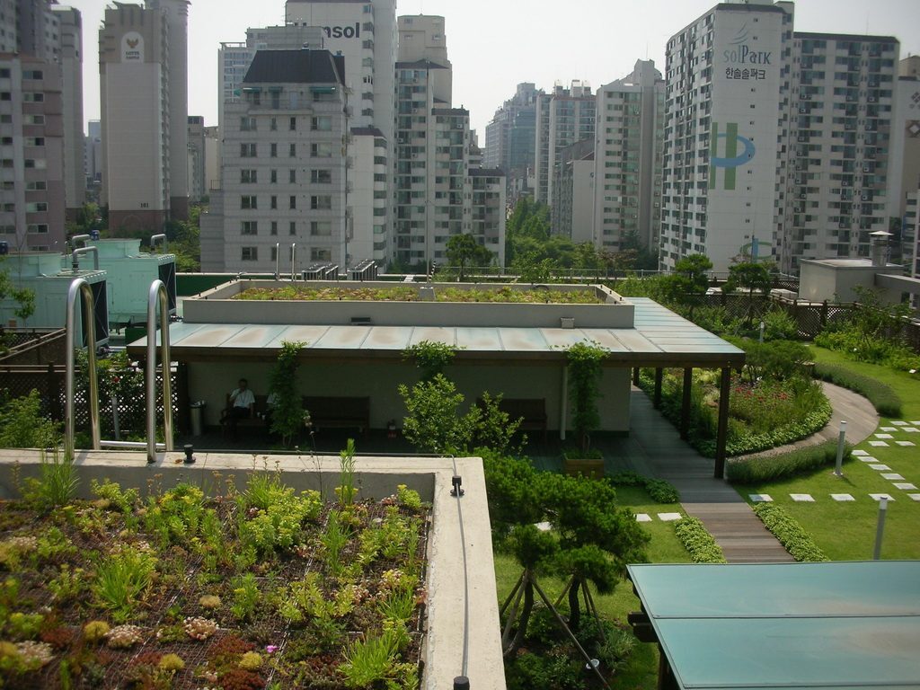강남구청사 옥상공원 식재 구간 (서울 강남구)