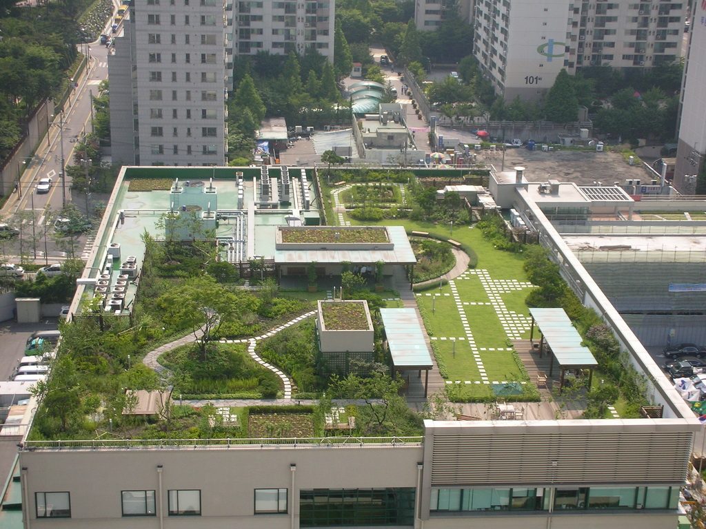 강남구청사 옥상공원화사업 봄 (서울 강남구)