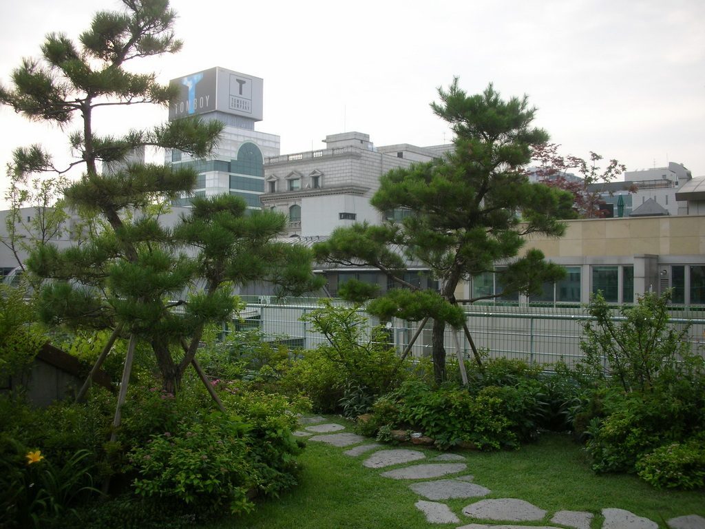 동천테라스 옥상 텃밭과 야생화정원 (서울 강남구)