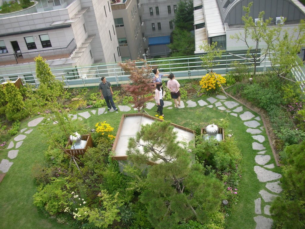 동천테라스 옥상 야생화정원 (서울 강남구)