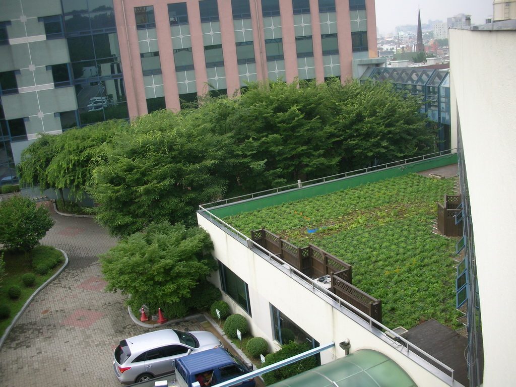 상수도연구원 유니트박스시스템 옥상녹화 전경 (서울 광진구)