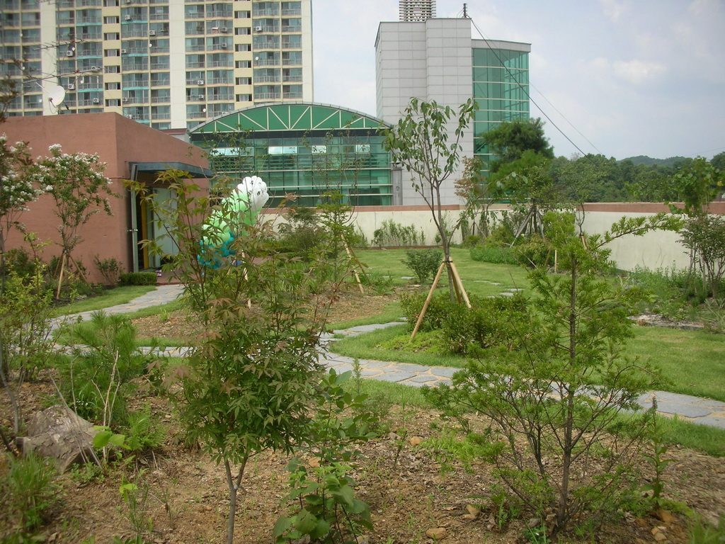 남동어린이집 옥상정원 식재 (인천 남동구)