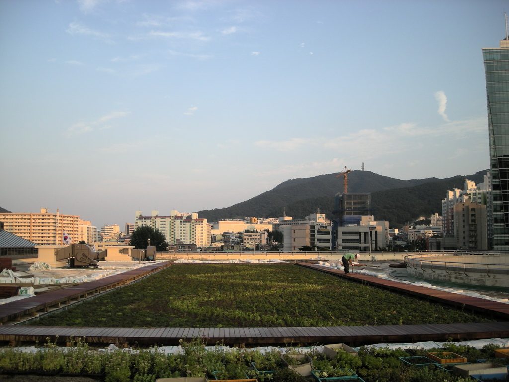 부산시청사 옥상녹화 유니트 설치 기반공사 (부산 연제구)