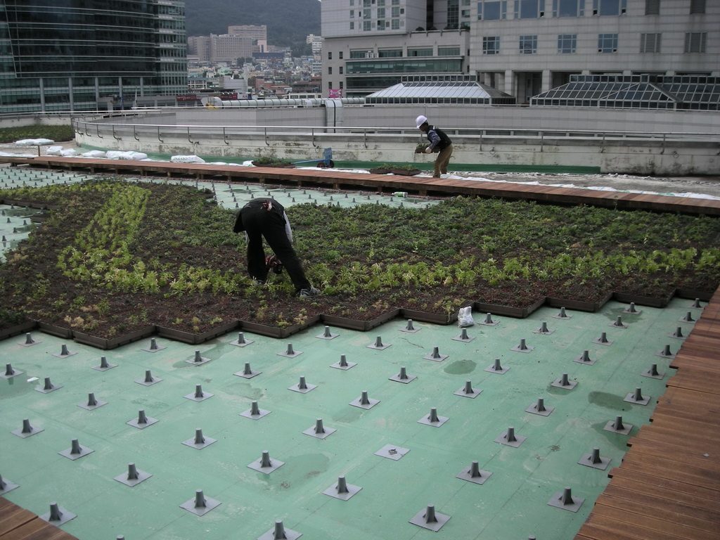 부산시청사 옥상 습지 기반 조성 (부산 연제구)