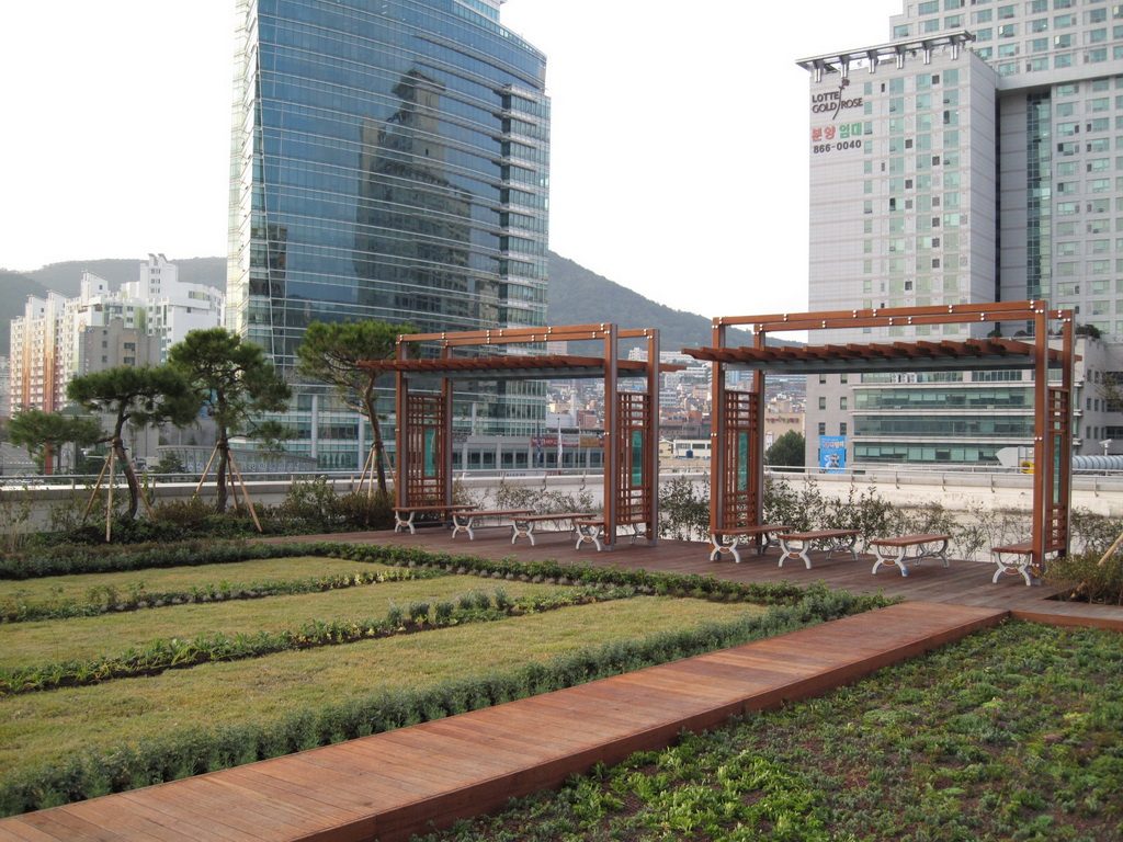 부산시청사 옥상녹화 식재 경관 (부산 연제구)