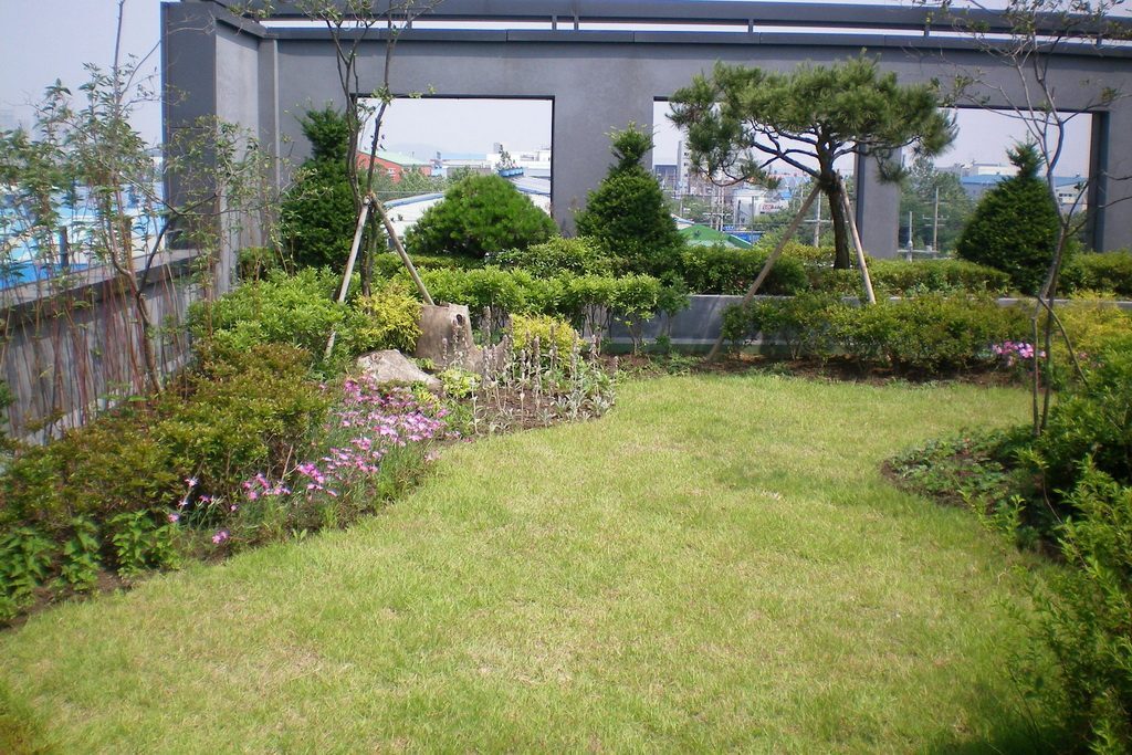 태진이엔지 옥상 식재 (인천 남동구)