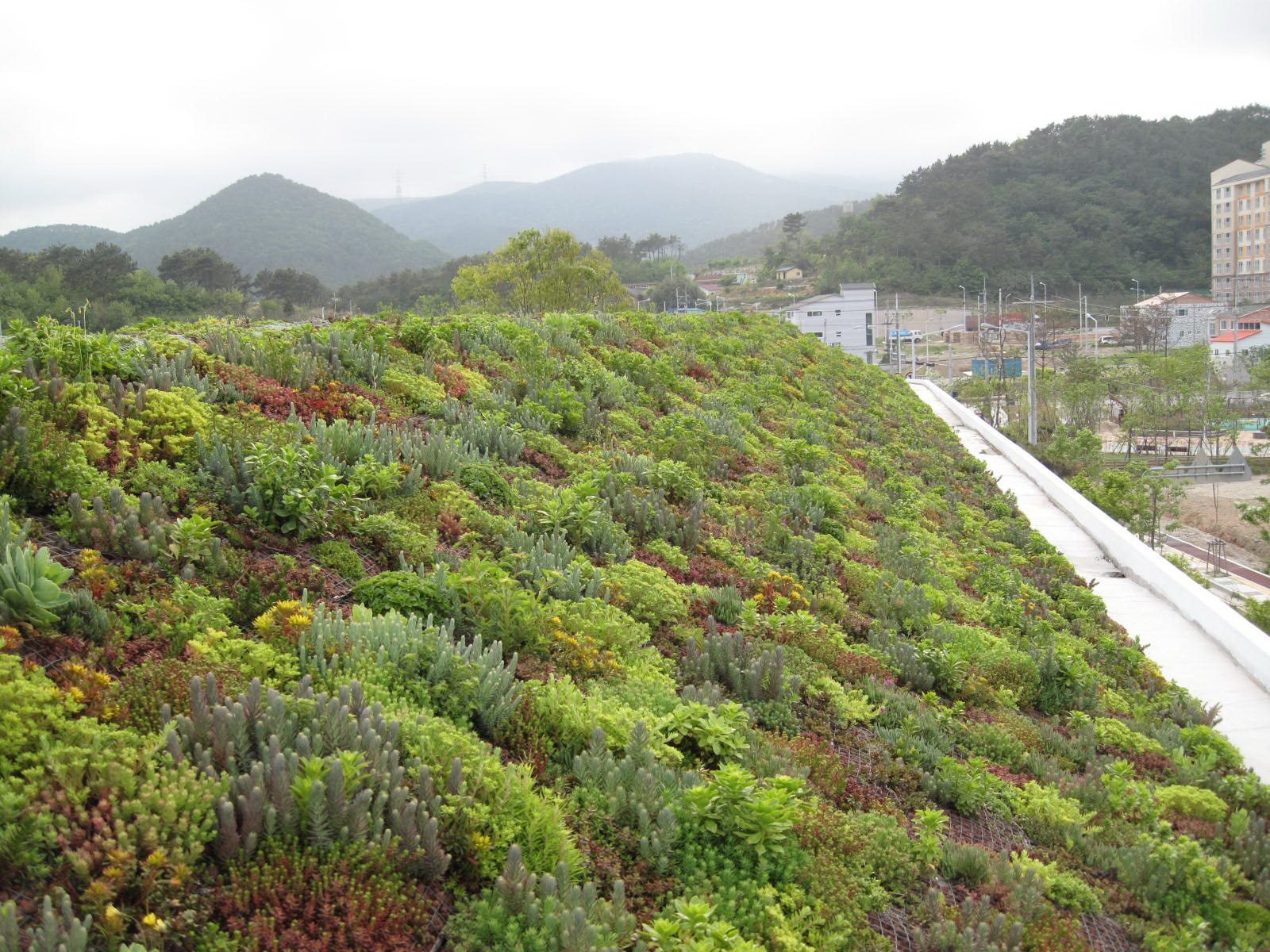 부산외국인학교 경사지붕 자동관수시스템 (부산 기장군)