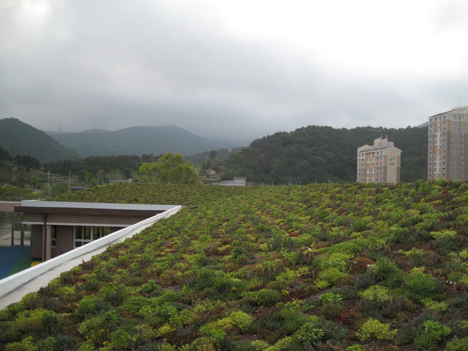 부산외국인학교 경사지붕녹화 전경 (부산 기장군)
