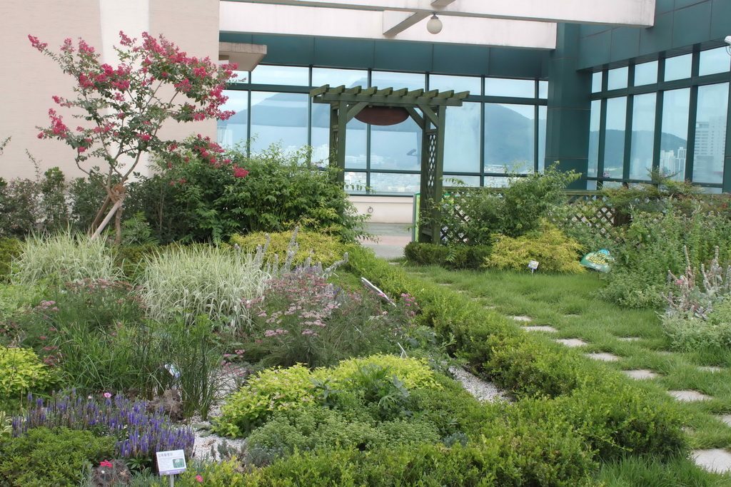 부산 해양자연사박물관 옥상녹화 PD-LN20·K-SOIL (부산 금정구)