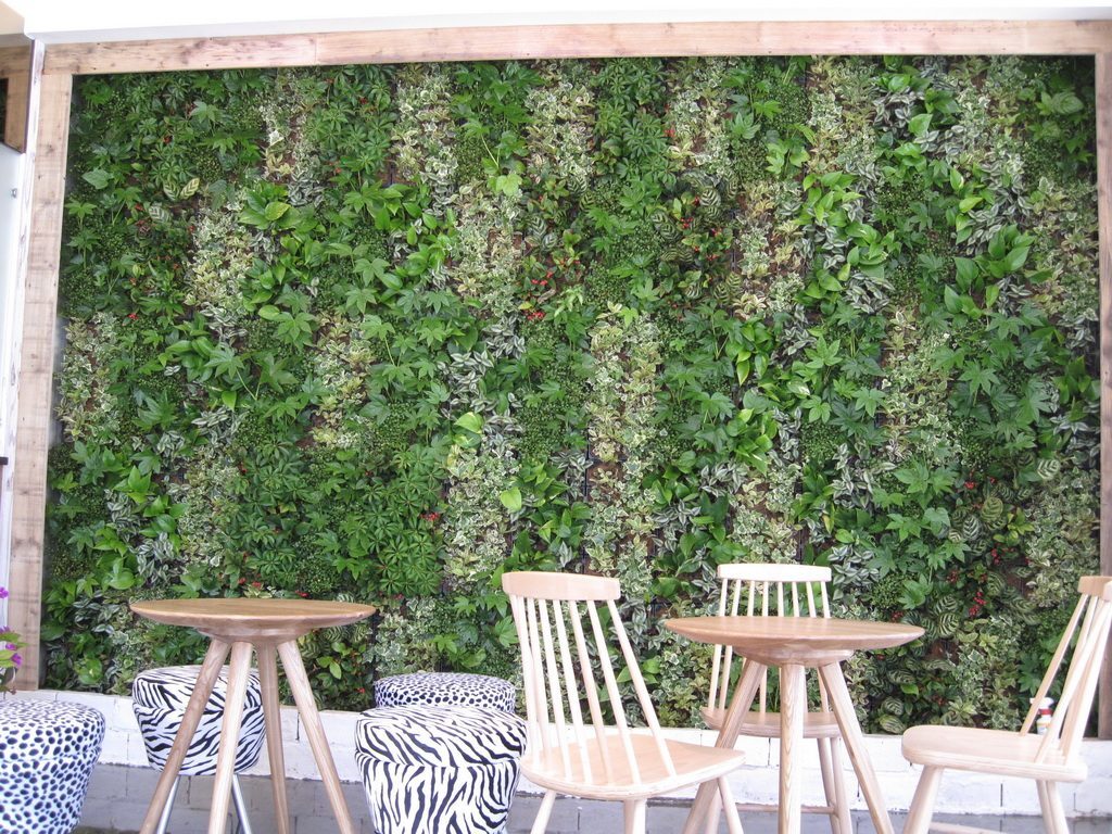 커피전문점 실내 벽면녹화 Living Wall (서울 강남구)