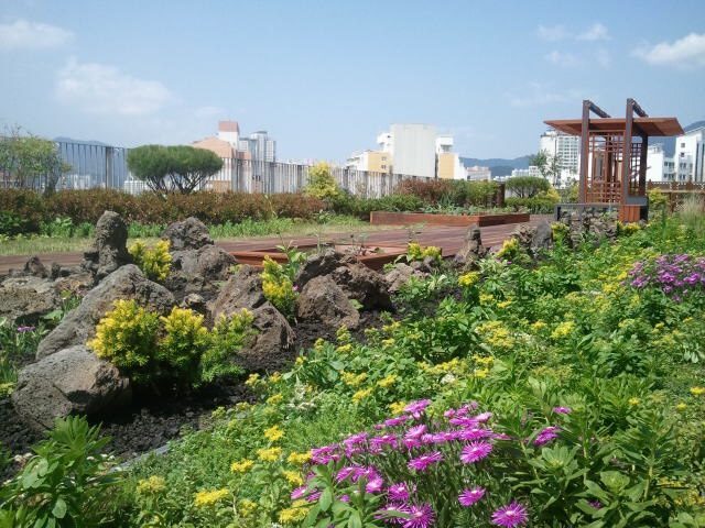 연제구청 옥상녹화 (부산 연제구)