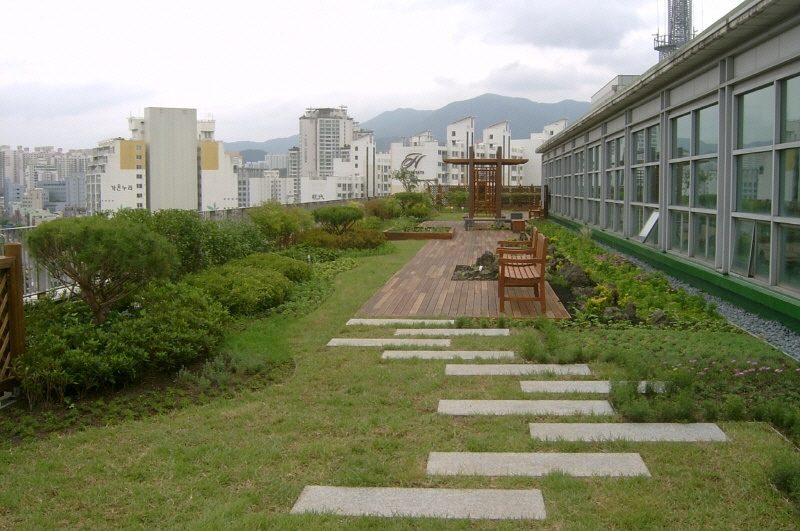 연제구청 옥상 식재 (부산 연제구)