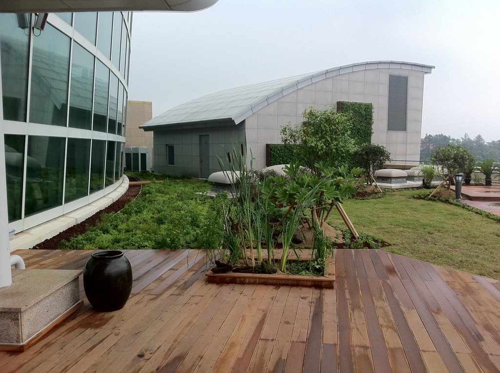 제주 컨벤션센터 벽면녹화 (제주 서귀포시)