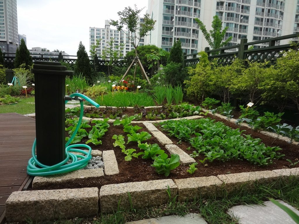 농촌진흥청 옥상정원 사계절 식재 (경기 수원시)