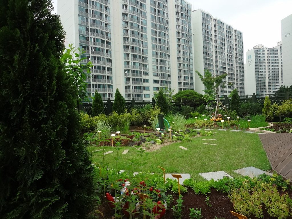 농촌진흥청 사계절 옥상정원 전경 (경기 수원시)