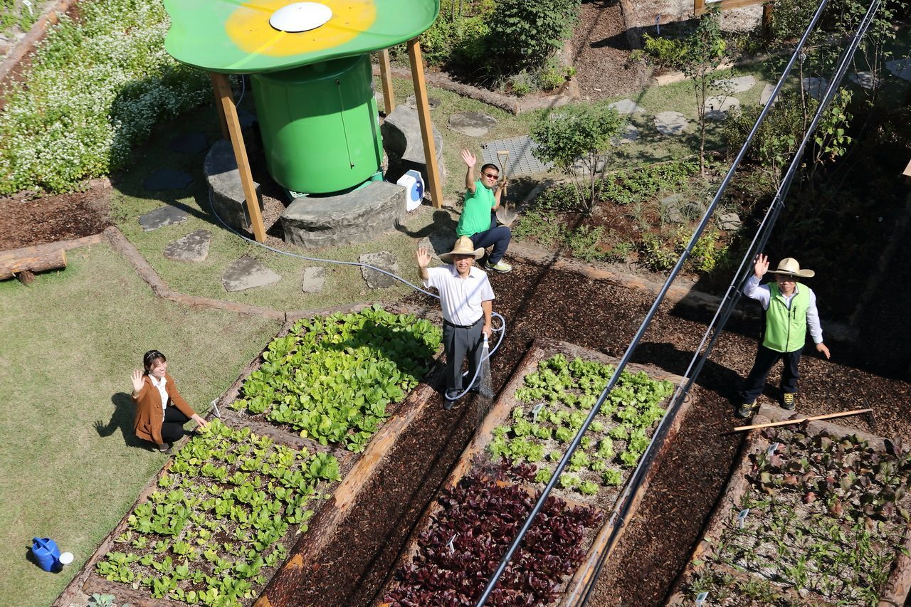 장안 공동체 텃밭 재활용 조경 (경기 수원시)