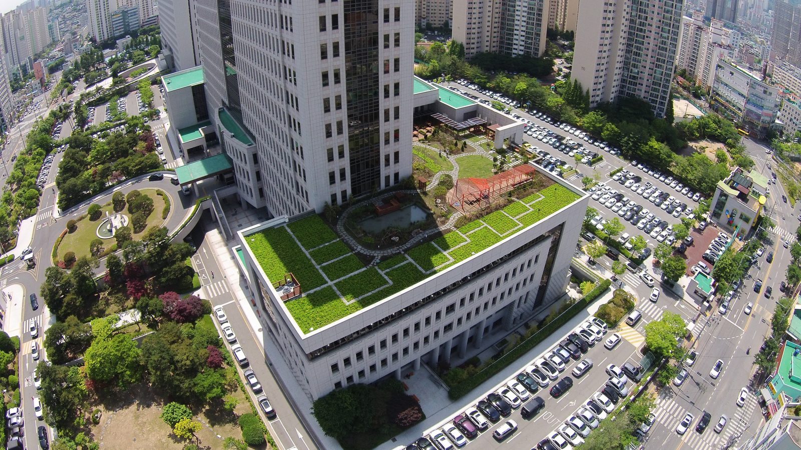 부산고등법원 옥상녹화 식재 (부산 연제구)