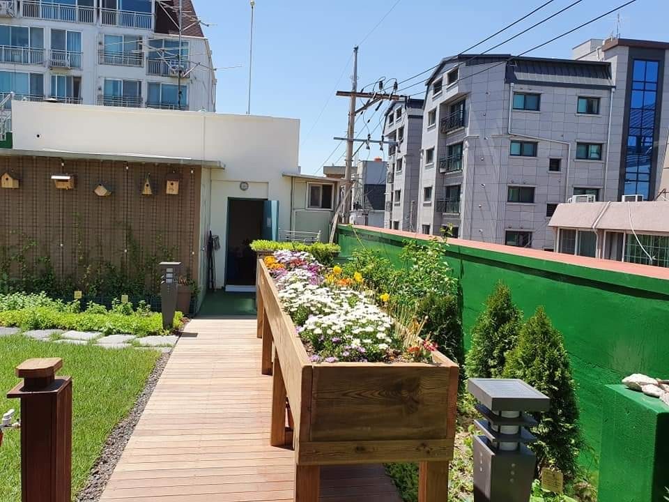 광진구 노인보호센터 옥상 힐링가든 (서울 광진구)