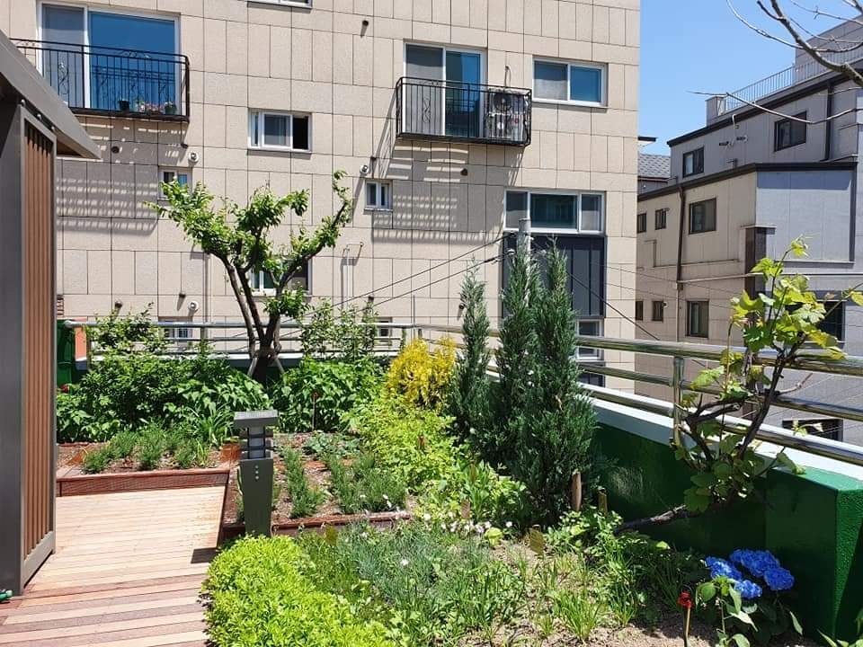 광진구 노인보호센터 옥상 벽면 다래와 포도 (서울 광진구)