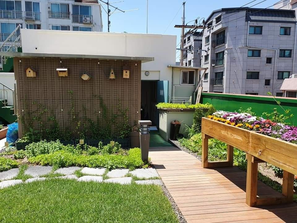 광진구 노인보호센터 옥상 식재 (서울 광진구)