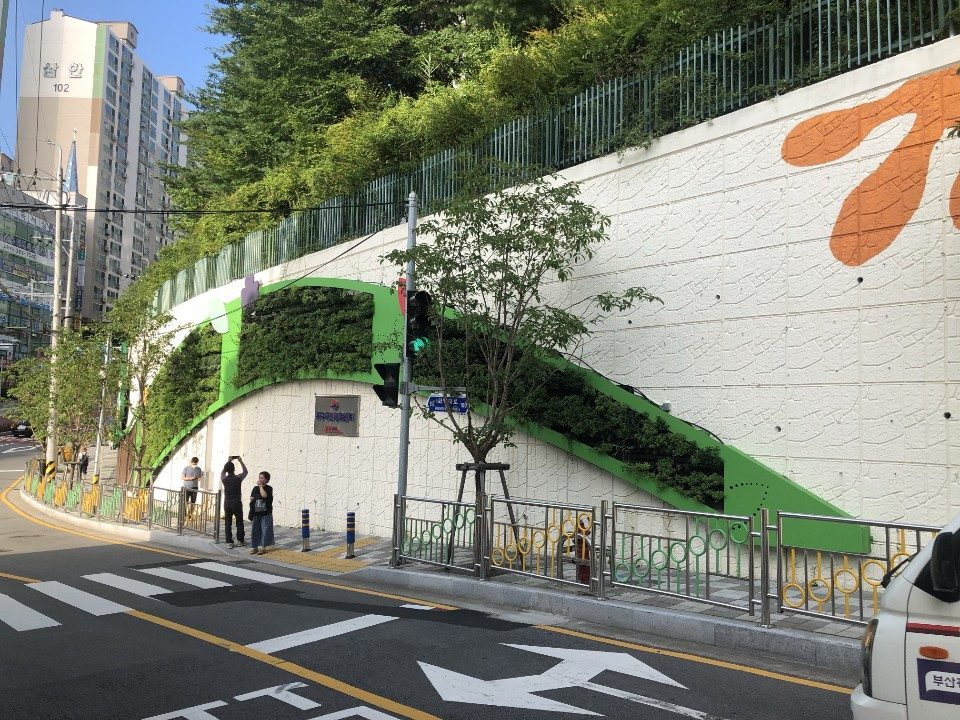 화명로 도로벽면 미세먼지저감 벽면녹화 (부산 북구)