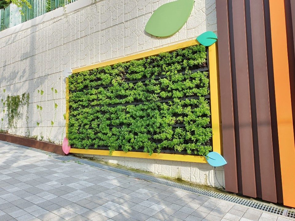 화명로 도로변 벽면녹화 식재 (부산 북구)