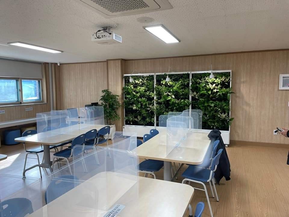 안성시 학교 LAP 실내 식물 벽 (경기 안성시)