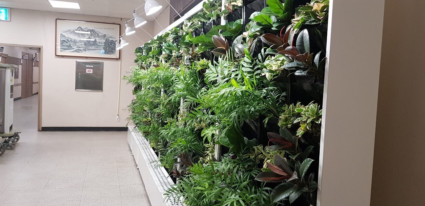 해남 우리종합병원 스마트가든 전경 (전남 해남군)