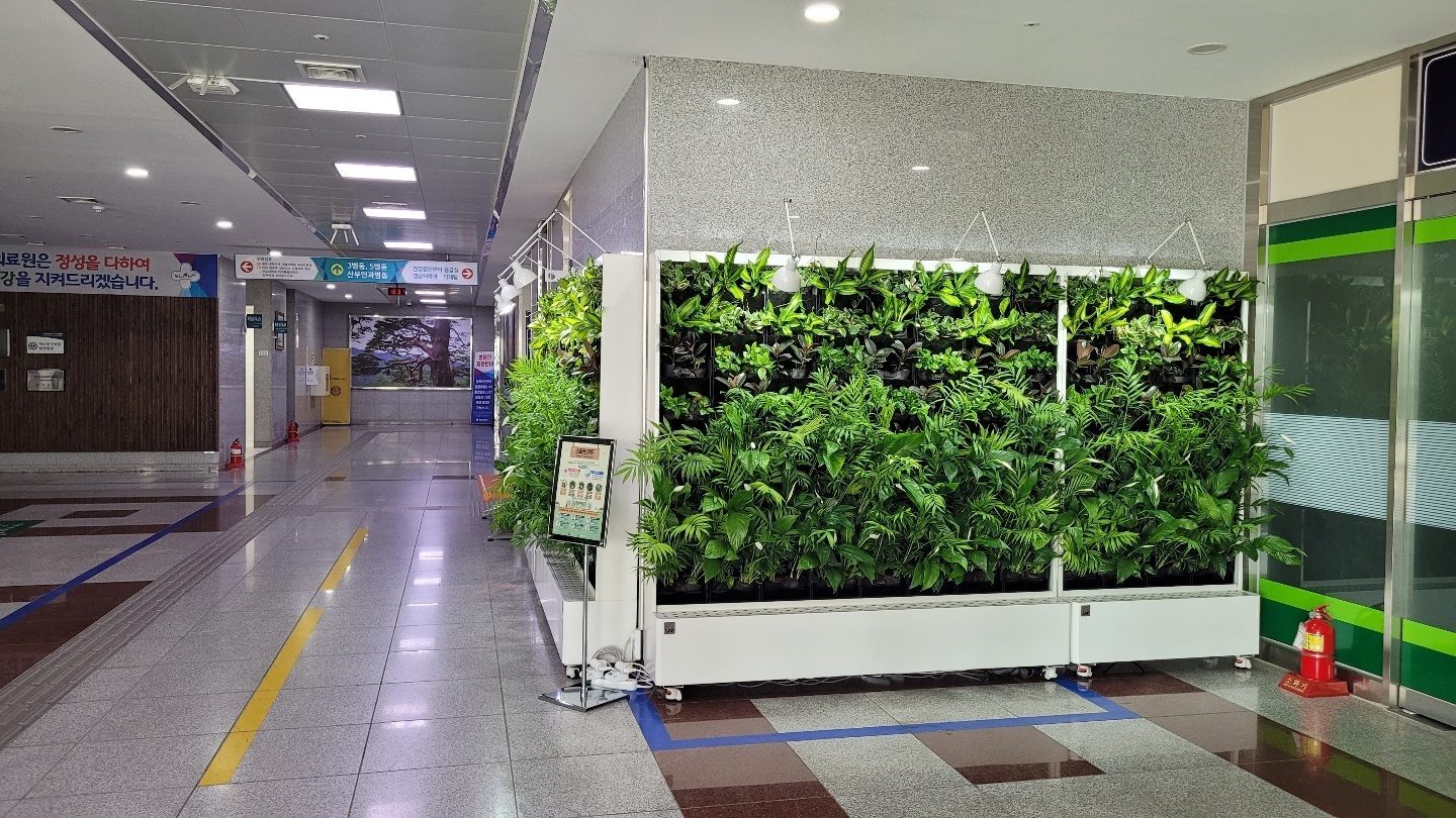 울진의료원 실내 식물 벽 (경북 울진군)