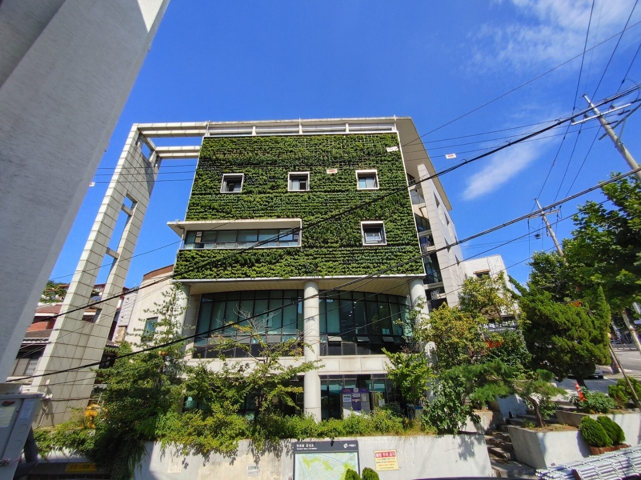 연희동 주민센터 벽면 식물 벽 (서울 서대문구)