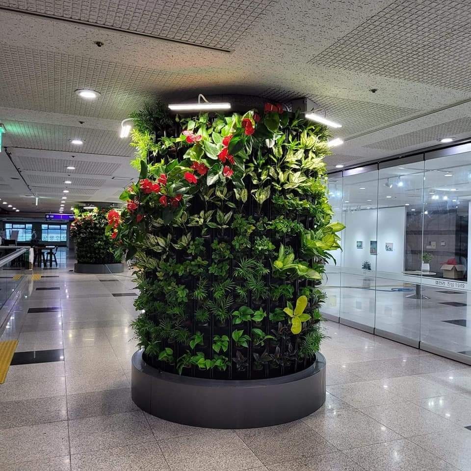 진주시청사 LIVING WALL 스마트가든 (경남 진주시)