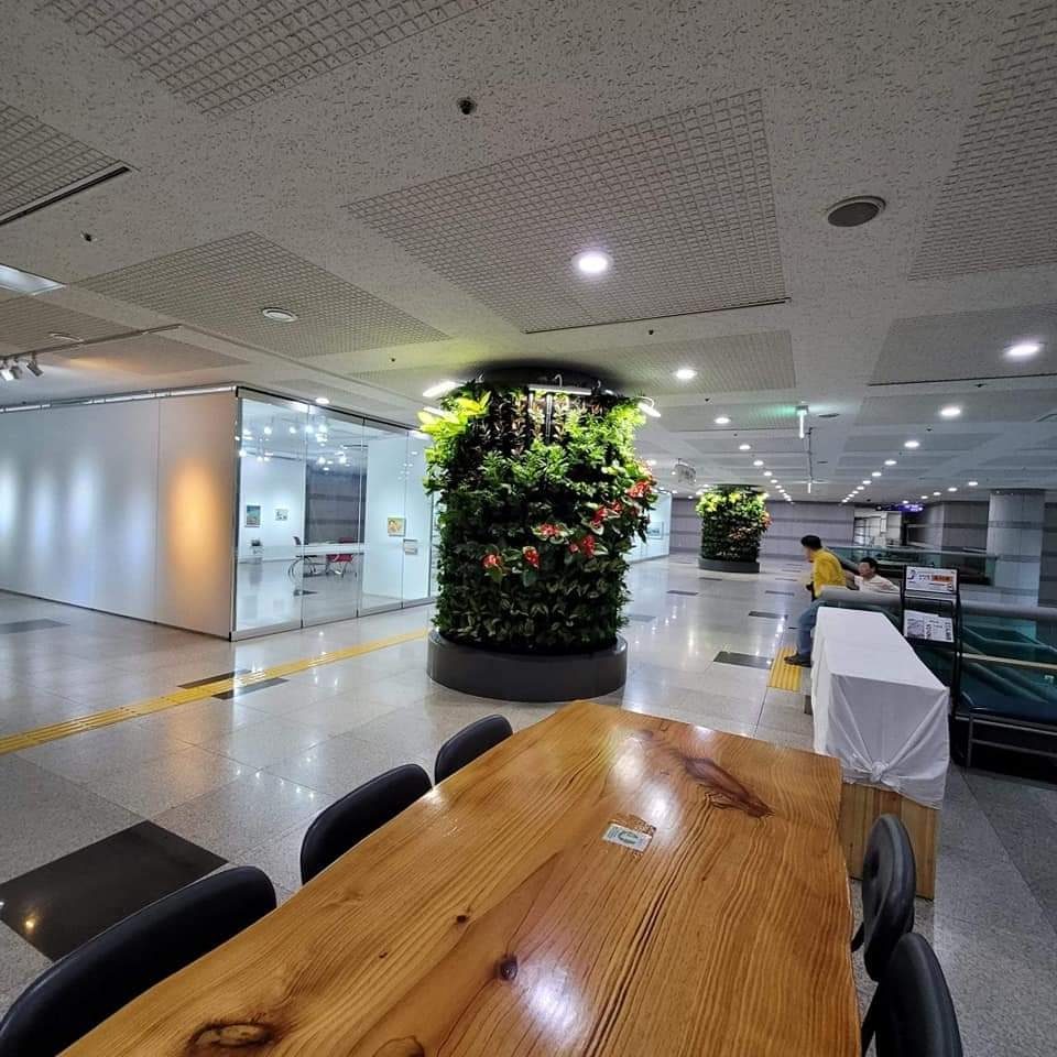 진주시청사 실내 LIVING WALL 식물 벽 (경남 진주시)