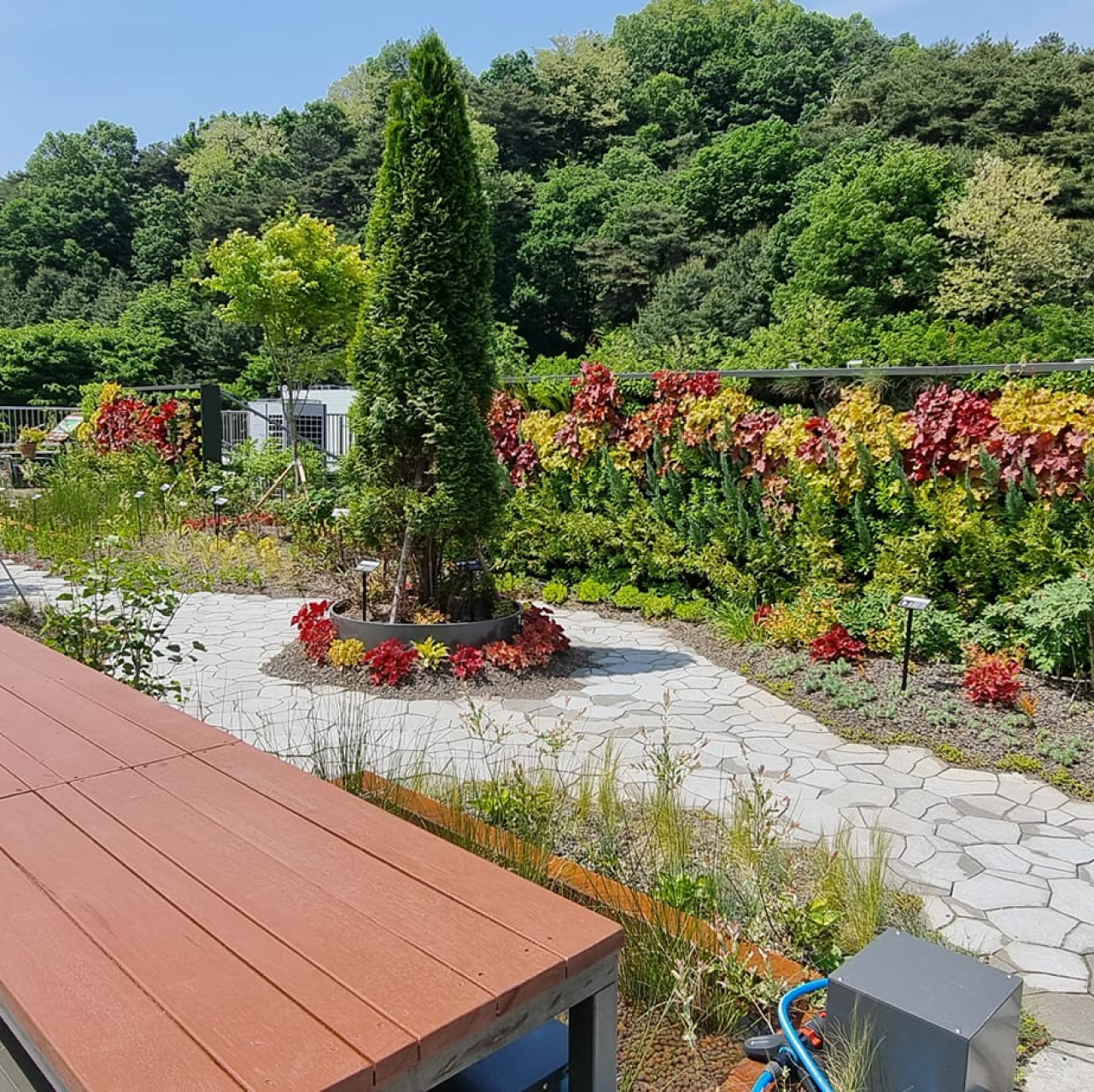 제천시청 옥상정원 벽면녹화와 휴게 공간