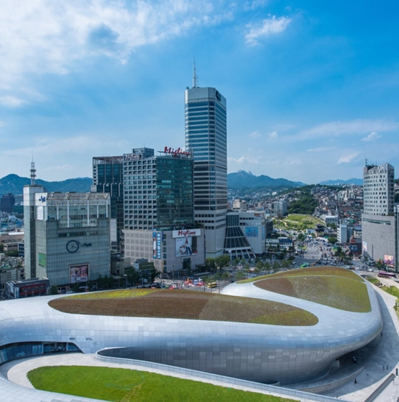 DDP 옥상녹화 상세 — 곡면 위 식재