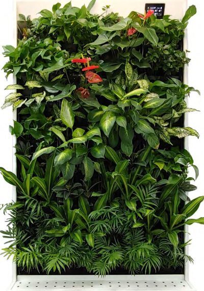 AIR GARDEN LAP
