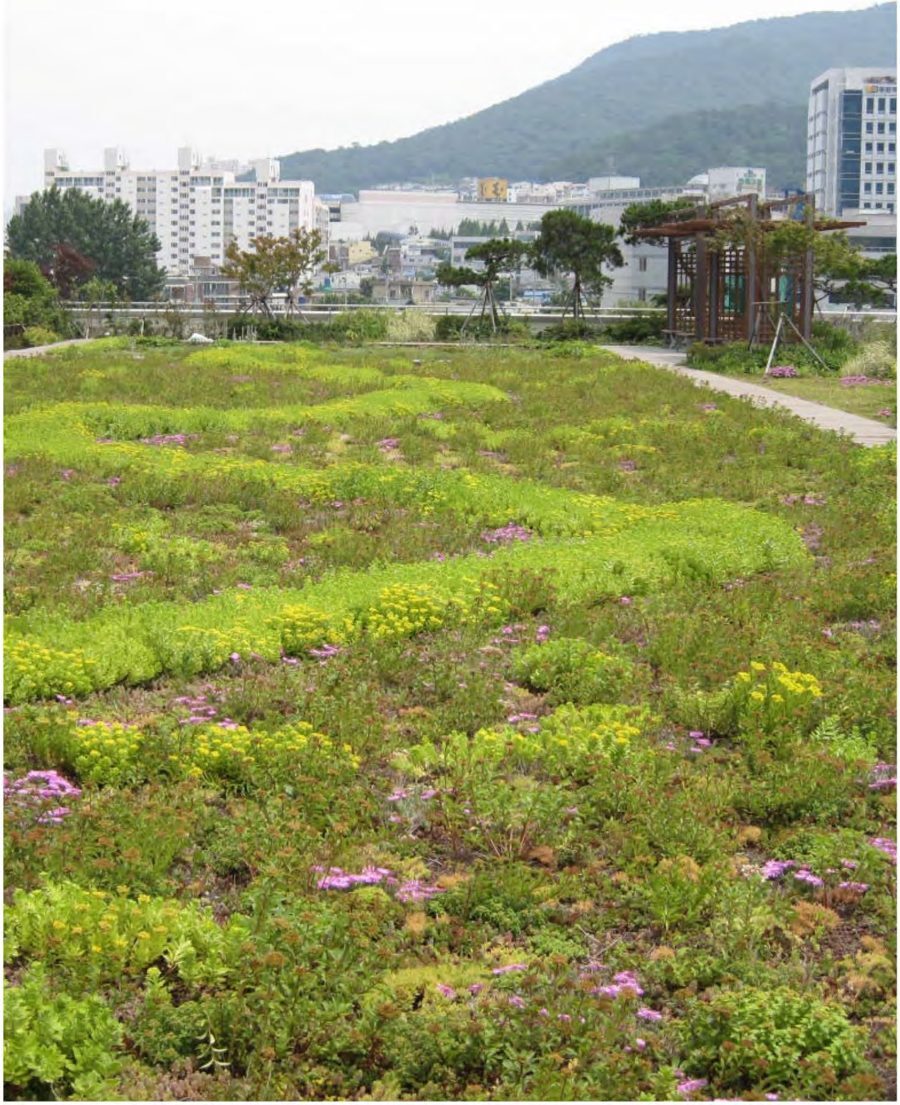 부산시청 옥상녹화