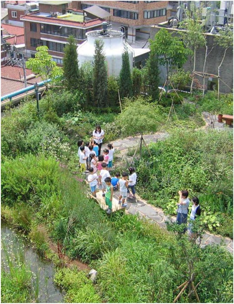 한겨레신문사 옥상 비오톱